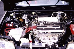 lambo5.jpg (32252 bytes)